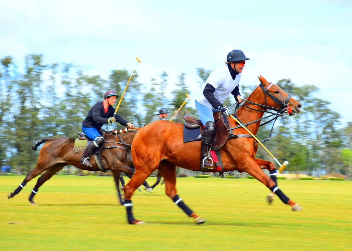 Polo in Buenos Aires
